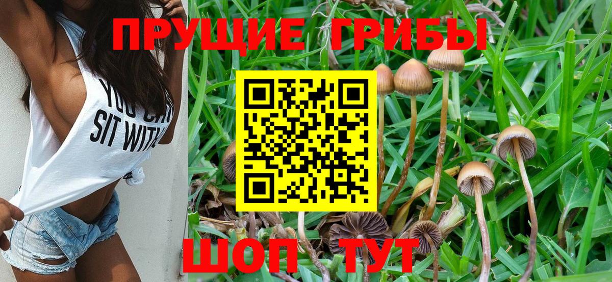 Псилоцибиновые грибы мицелий  Псилоцибиновые грибы мухоморы  Вход с VPN  Магнитогорск 