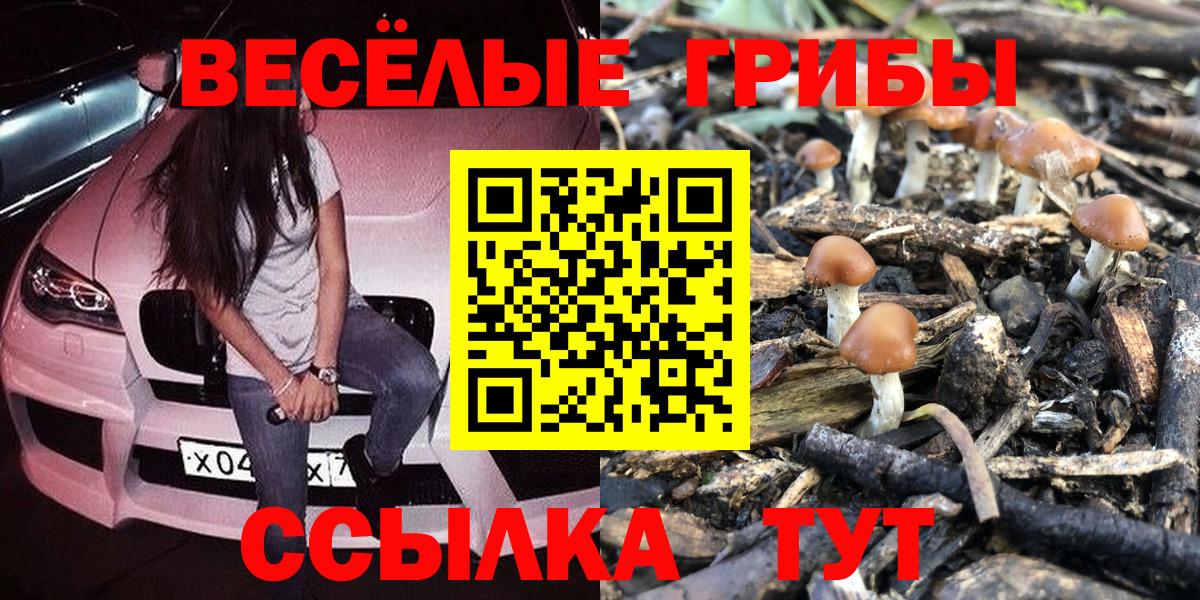 Псилоцибиновые грибы Psilocybine cubensis Магнитогорск